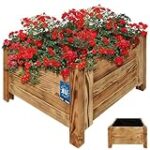 Comparatif des Meilleurs Bacs en Bois pour Plantes : Élégance et Praticité dans Votre Cuisine