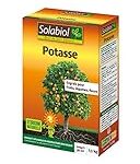 Les Meilleurs Pots pour Jardiner : Comparatif et Analyse des Options Idéales pour Embellir Votre Cuisine Les Meilleurs Pots pour Jardiner : Comparatif et Analyse des Options Idéales pour Embellir Votre Cuisine