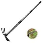 Les Meilleurs Outils de Jardinage : Comparatif pour Élever Votre Cuisine au Niveau Supérieur