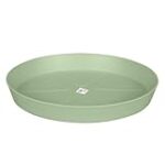 Comparatif des Meilleures Soucoupes pour Pots de Fleurs : Allier Esthétique et Praticité dans votre Cuisine Comparatif des Meilleures Soucoupes pour Pots de Fleurs : Allier Esthétique et Praticité dans votre Cuisine